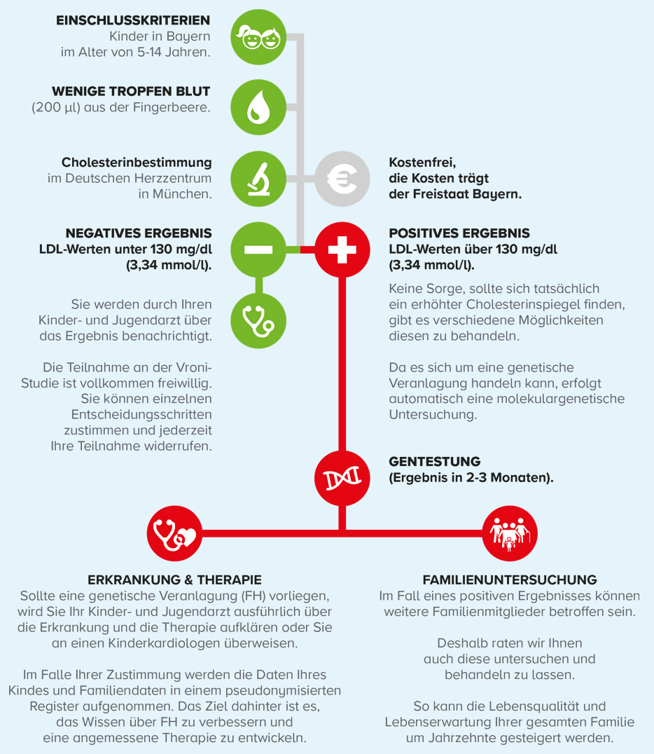 diagramm_ablauf_082020_1