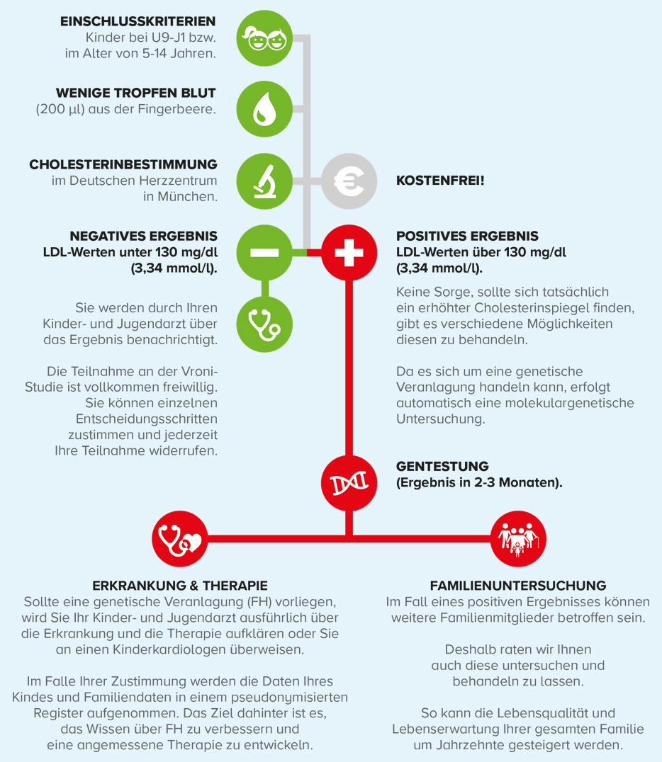 diagramm_ablauf_032024_1